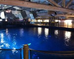 img_0728
