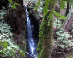 img_0859