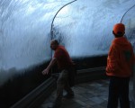img_2155